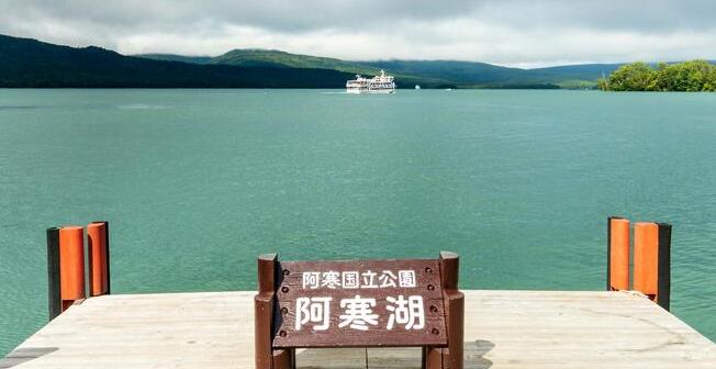 Marimo Moss Ball: The Origin and Cultural Significance