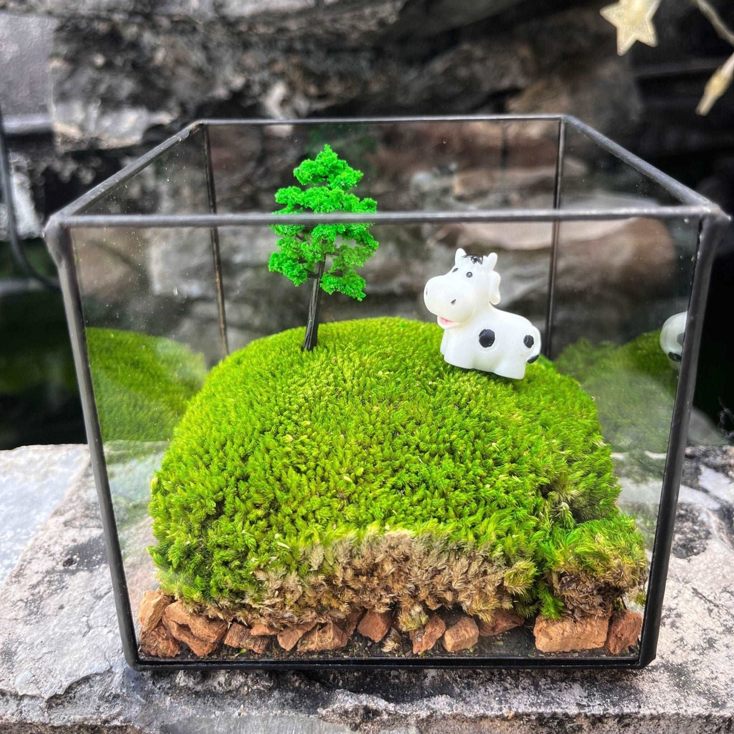 Handmade Glass Terrarium Mossbox Happy Chubby Cow Micro Landscape withElevate your workspace with the "Happy Chubby Cow" Handmade Glass Terrarium - a whimsical creation that captures the pastoral charm within a large square glass conta