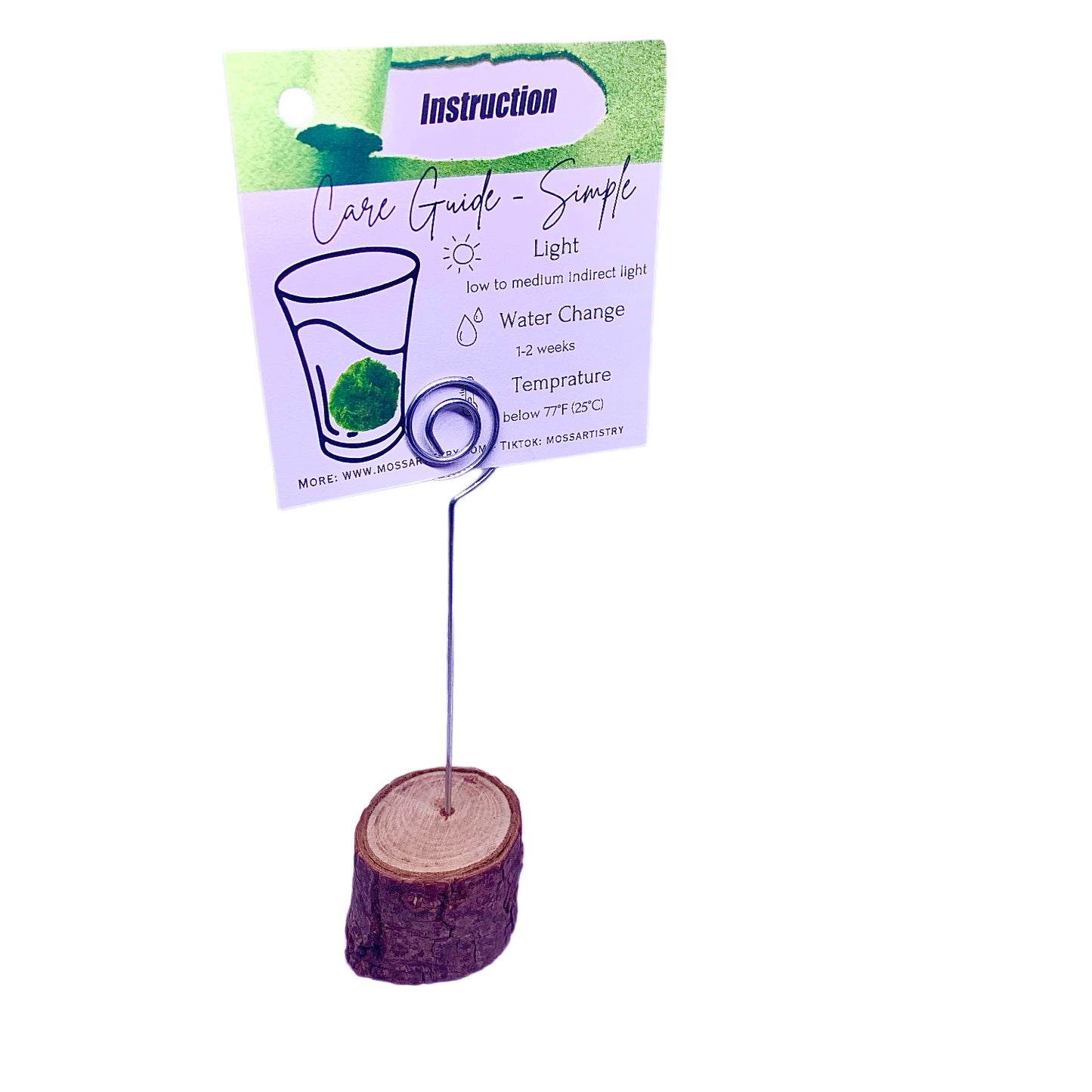 Marimo moss ball kit 3PCS designed as gift for single moms 60 days guarantee of free placement