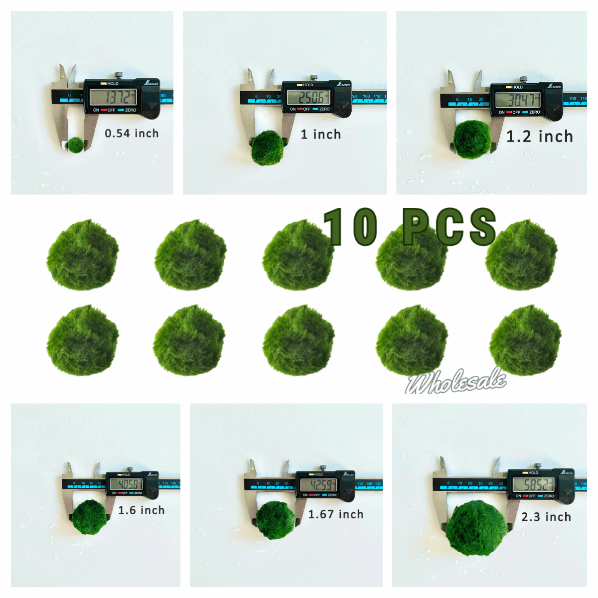 Marimo Moss Balls For Aquarium 10PCS Multiple Size Moss Ball Pet Bulk 
Notice 
There are two types of moss balls in the store:
0.5cm-2cm: Marimo Moss Balls, good for glass terrarium
2cm-8cm: Algae Moss Balls, good for aquarium
100% Rea