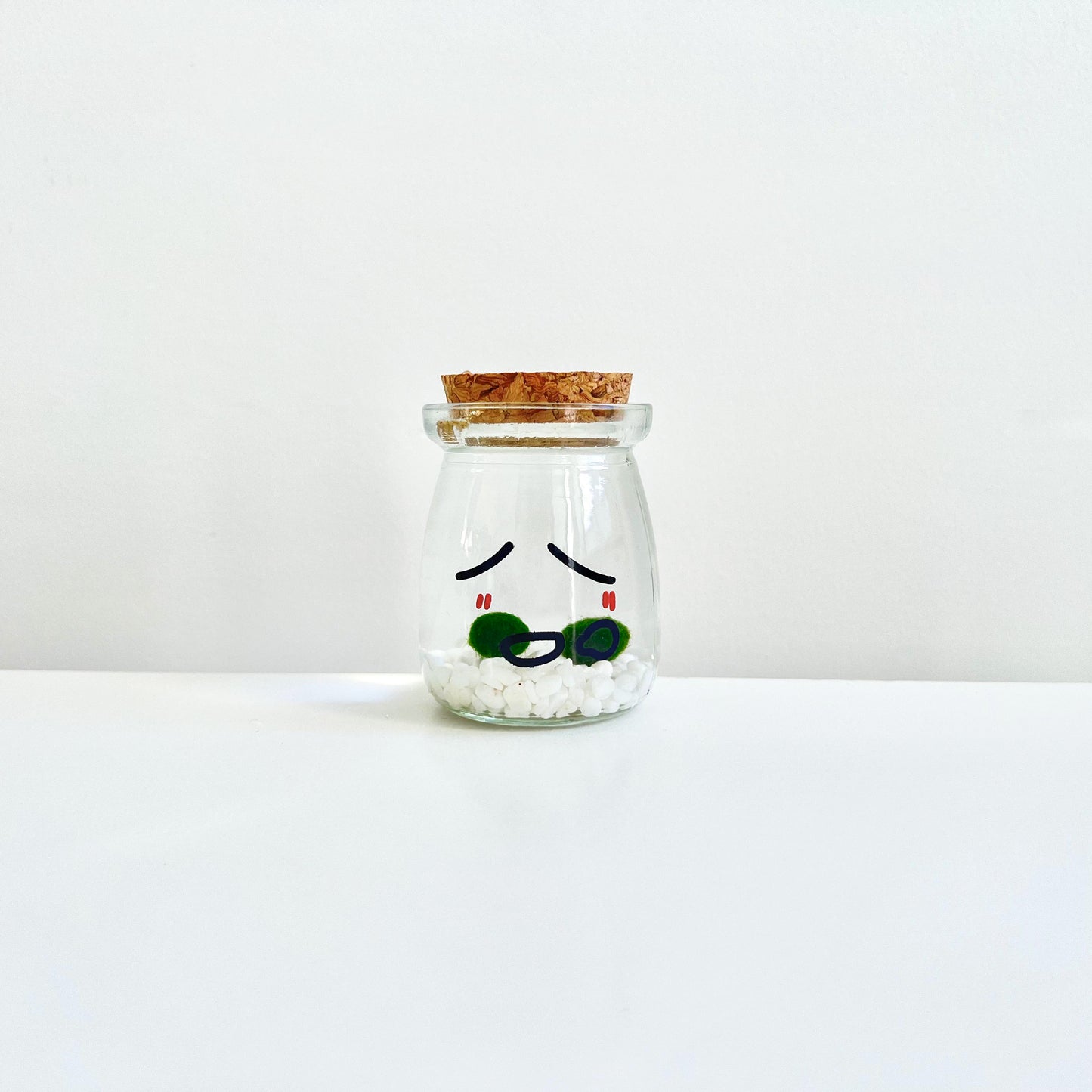 Cute Face Glass Jar with Cork, 2pcs Live Marimo Moss Balls, DIY Terrarium Gift