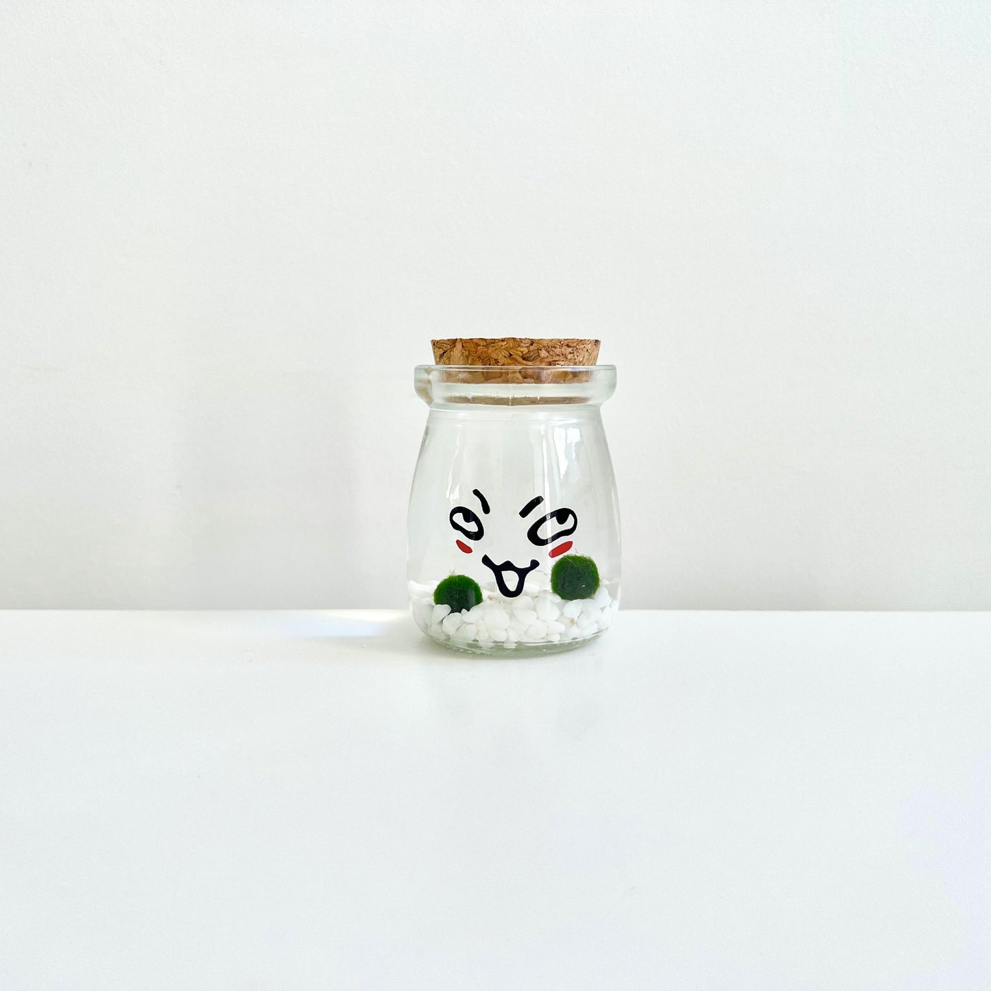 Cute Face Glass Jar with Cork, 2pcs Live Marimo Moss Balls, DIY Terrarium Gift