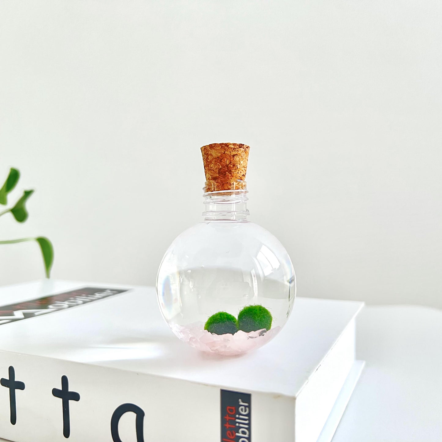 50ml Round Plastic Bottle with 2 Live Marimo Moss Balls | Choose from 5 Crystal Options