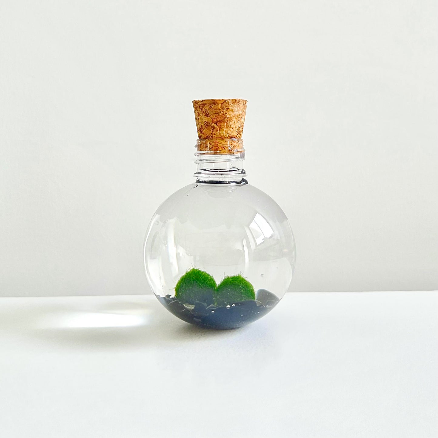 50ml Round Plastic Bottle with 2 Live Marimo Moss Balls | Choose from 5 Crystal Options