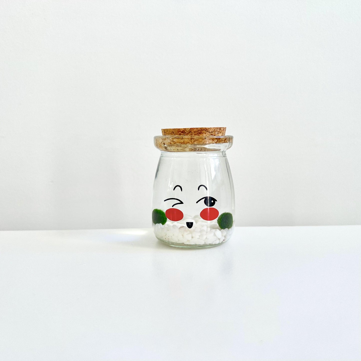 Cute Face Glass Jar with Cork, 2pcs Live Marimo Moss Balls, DIY Terrarium Gift