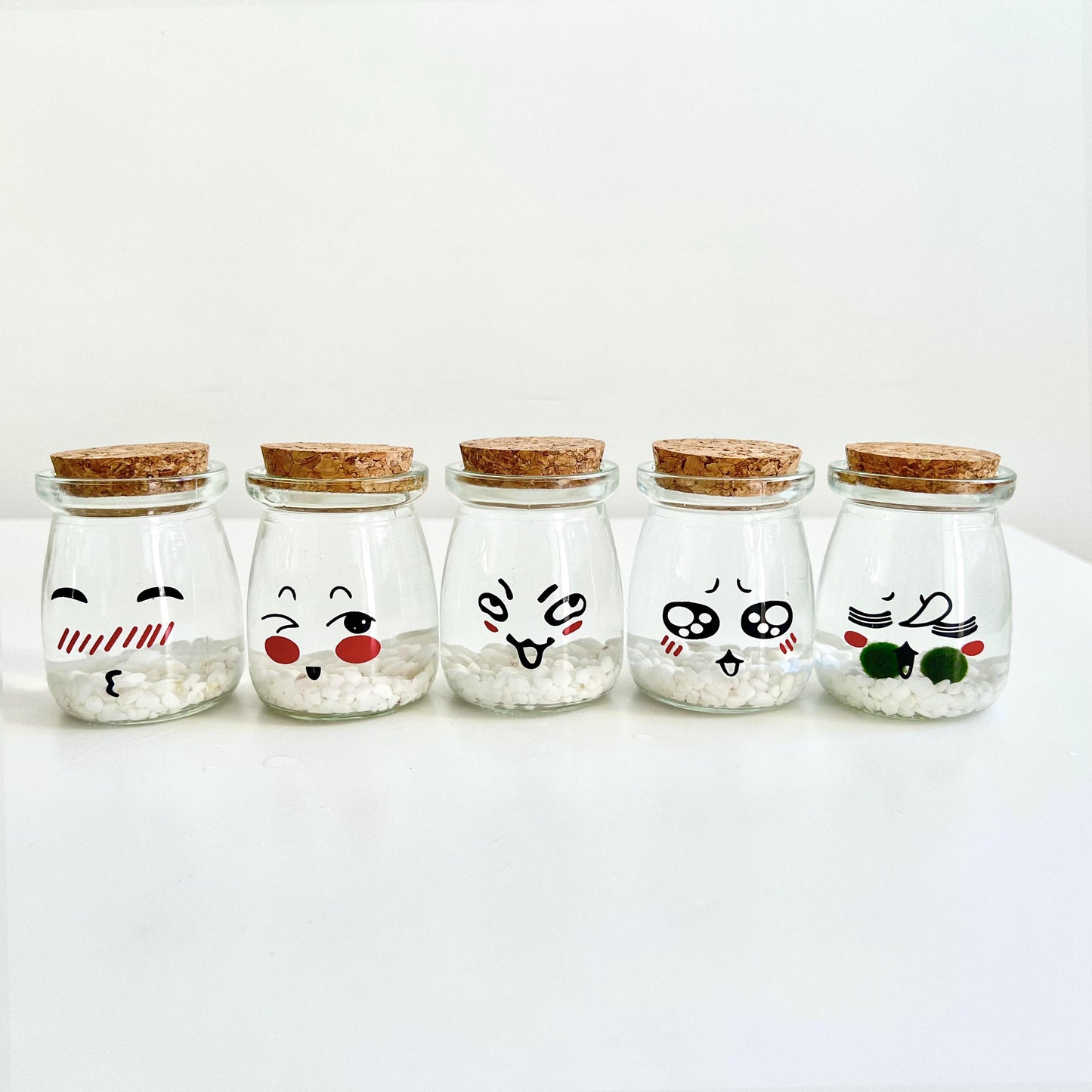 Cute Face Glass Jar with Cork, 2pcs Live Marimo Moss Balls, DIY Terrarium Gift