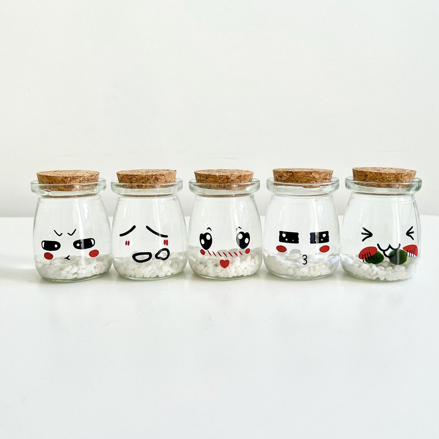 Cute Face Glass Jar with Cork, 2pcs Live Marimo Moss Balls, DIY Terrarium Gift