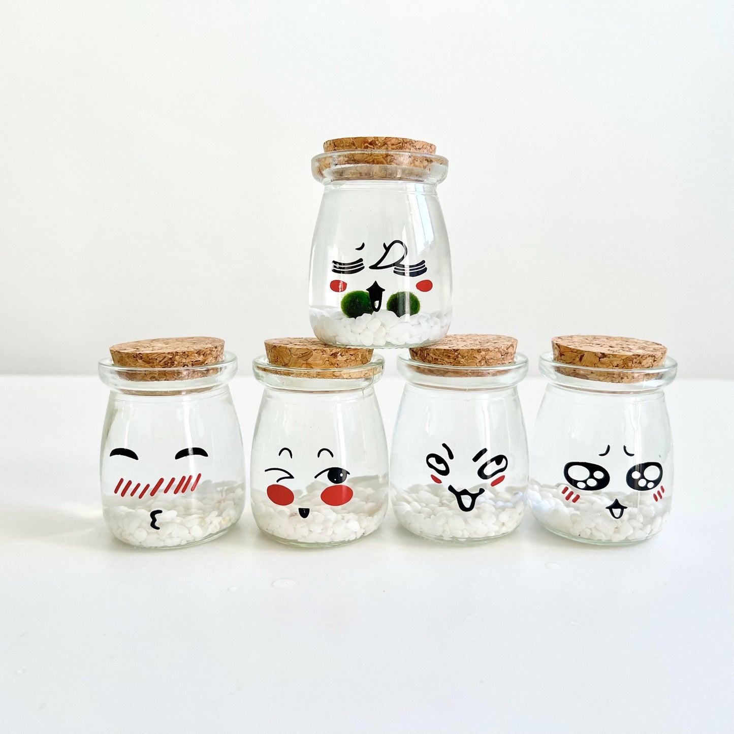 Cute Face Glass Jar with Cork, 2pcs Live Marimo Moss Balls, DIY Terrarium Gift