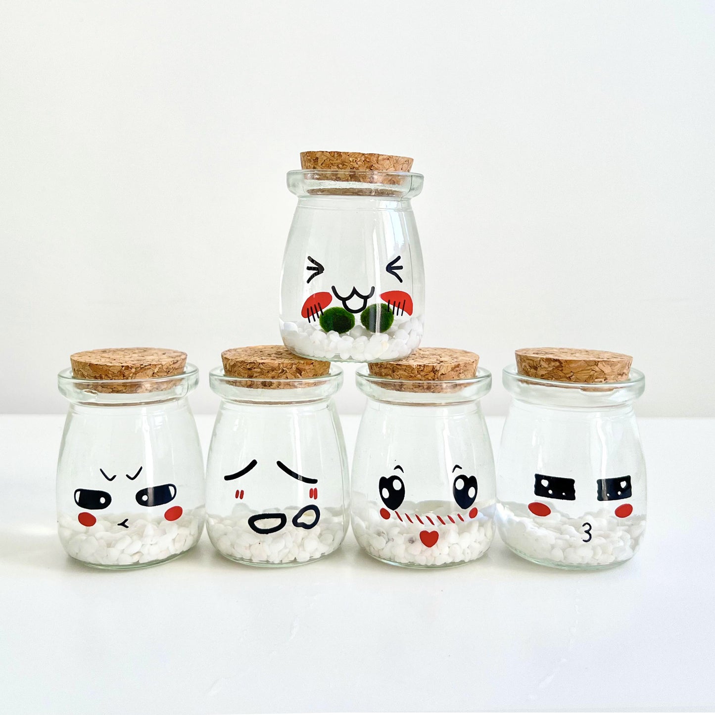 Cute Face Glass Jar with Cork, 2pcs Live Marimo Moss Balls, DIY Terrarium Gift