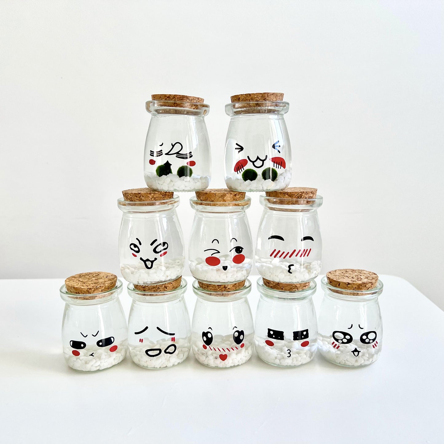 Cute Face Glass Jar with Cork, 2pcs Live Marimo Moss Balls, DIY Terrarium Gift