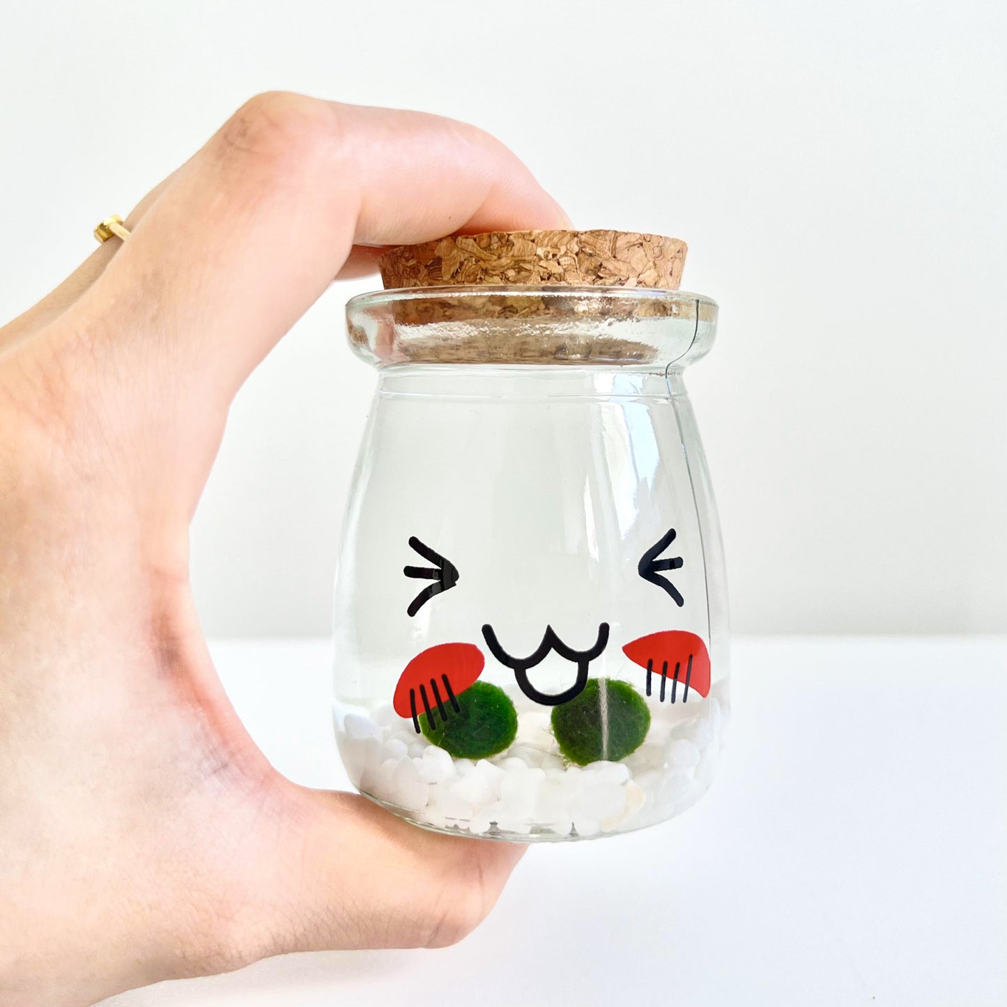 Cute Face Glass Jar with Cork, 2pcs Live Marimo Moss Balls, DIY Terrarium Gift