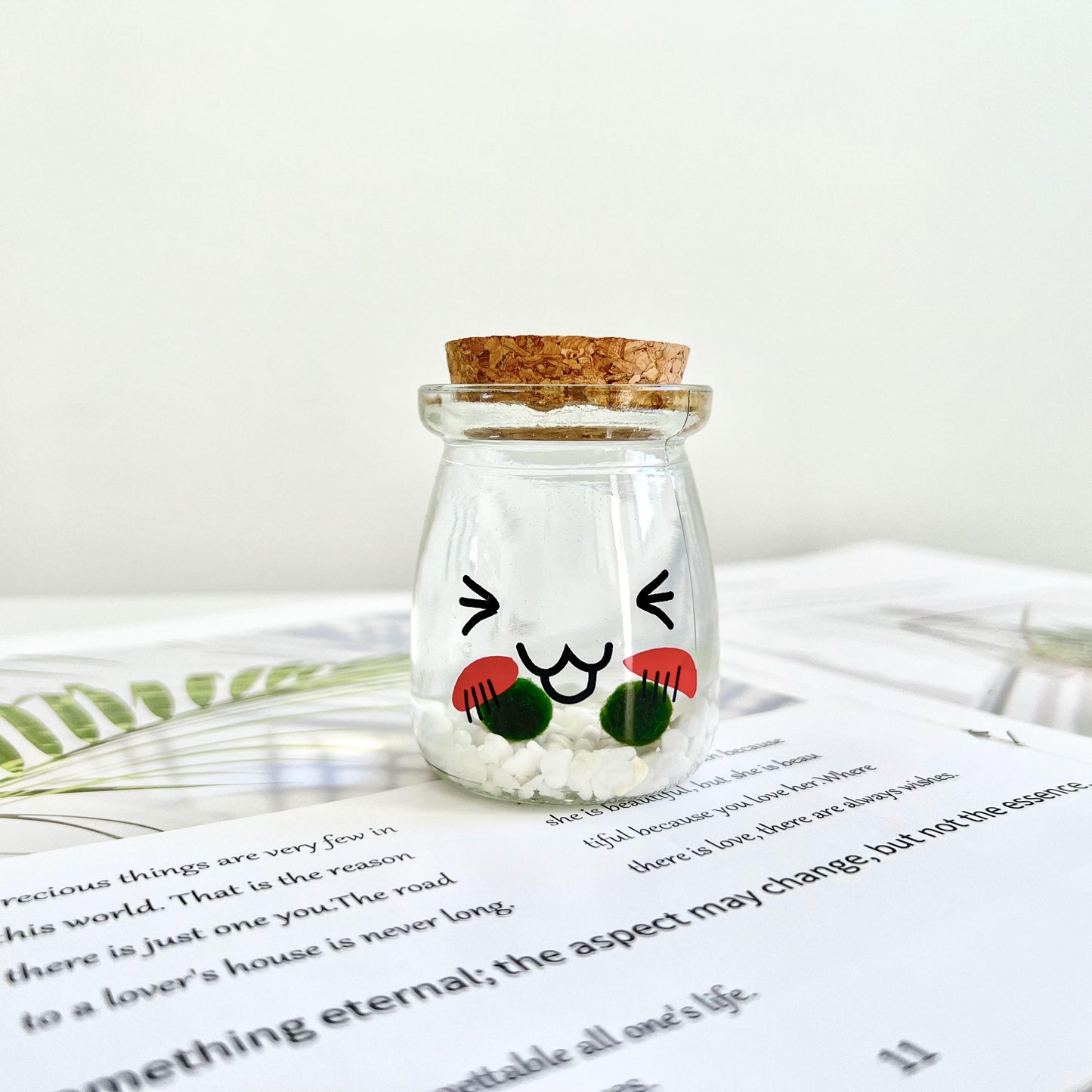 Cute Face Glass Jar with Cork, 2pcs Live Marimo Moss Balls, DIY Terrarium Gift