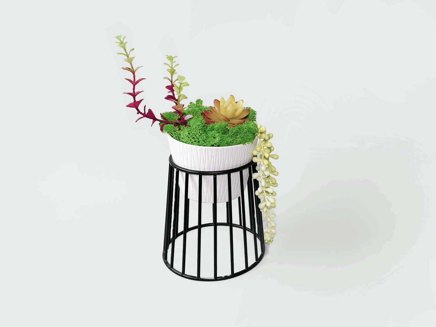 "Evergreen Elegance" Succulent Moss Bonsai in Ceramic Pot Table Decor with Pot Holder
