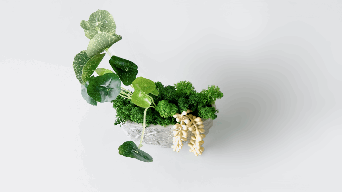 Lotus Leaf Moss Art - Textured Flat Vase Arrangement with Preserved MoUnveil the charm of effortless greenery with our Textured Flat Vase Arrangement. This stunning piece marries the lush, verdant allure of preserved moss with the endu