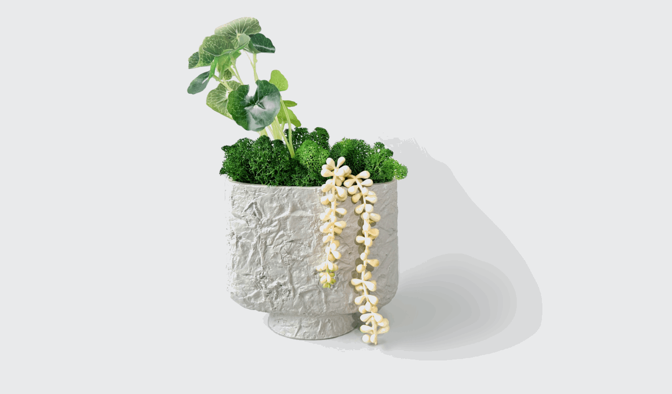 Lotus Leaf Moss Art - Textured Flat Vase Arrangement with Preserved MoUnveil the charm of effortless greenery with our Textured Flat Vase Arrangement. This stunning piece marries the lush, verdant allure of preserved moss with the endu