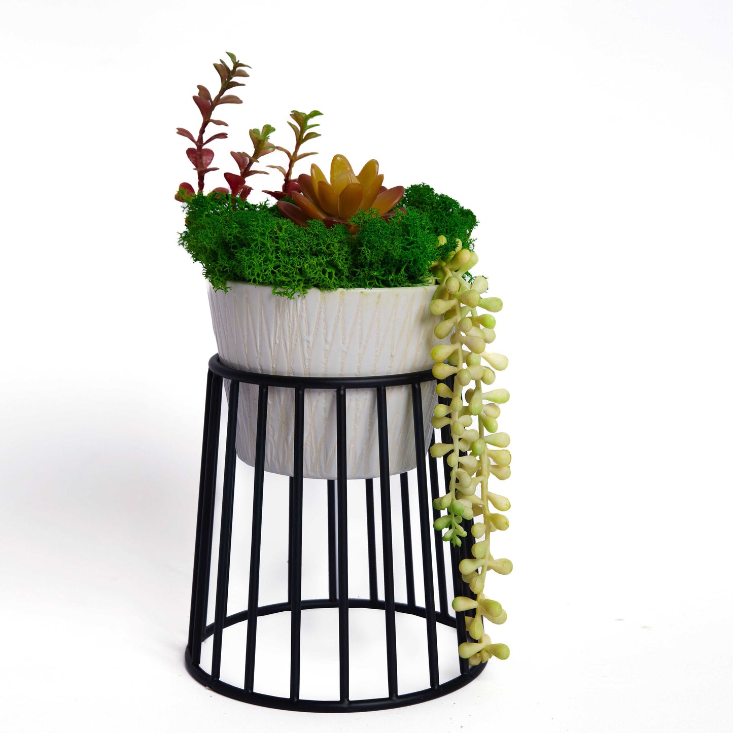 "Evergreen Elegance" Succulent Moss Bonsai in Ceramic Pot Table Decor with Pot Holder