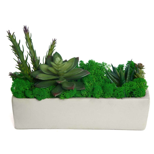 Succulent Moss Desktop Rectangular Bonsai - Faux Succulent and Moss ArEmbrace the timeless charm of our "Modern Nature" arrangement, a harmonious blend of faux succulents and preserved moss, elegantly housed in a unique square-shaped c
