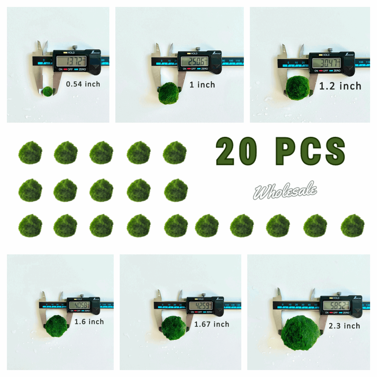 Marimo Moss Balls For Aquarium 20PCS Multiple Size Moss Ball Pet Bulk
Notice
There are two types of moss balls in the store:
0.5cm-2cm: Marimo Moss Balls, good for glass terrarium
2cm-8cm: Algae Moss Balls, good for aquarium
100% R