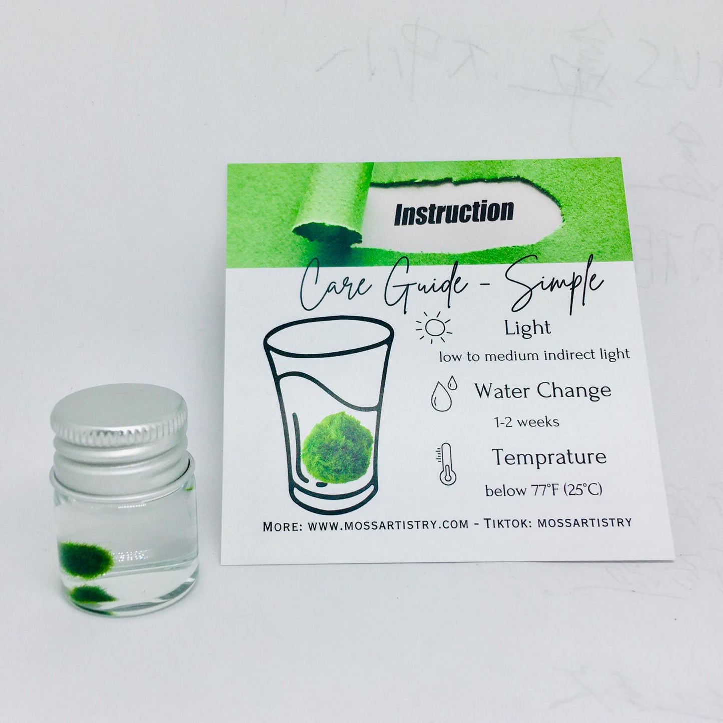 Gift for kids party bulk under $10/each: Marimo moss ball
