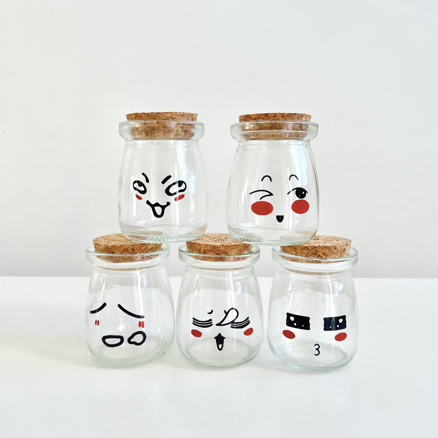 Cute Face Glass Jar with Cork, 2pcs Live Marimo Moss Balls, DIY Terrarium Gift