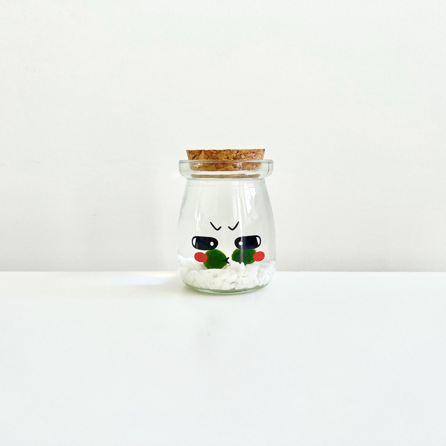 Cute Face Glass Jar with Cork, 2pcs Live Marimo Moss Balls, DIY Terrarium Gift