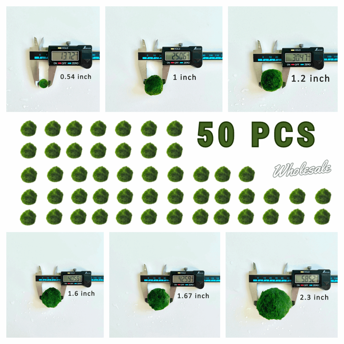 Marimo Moss Balls For Aquarium 50PCS Wholesale Multiple Size Moss Ball
Notice 
There are two types of moss balls in the store:
0.5cm-2cm: Marimo Moss Balls, good for glass terrarium
2cm-8cm: Algae Moss Balls, good for aquarium
100% Re