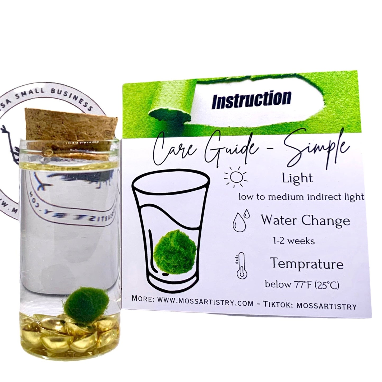 Fortune Moss Kit Office Desktop Decor