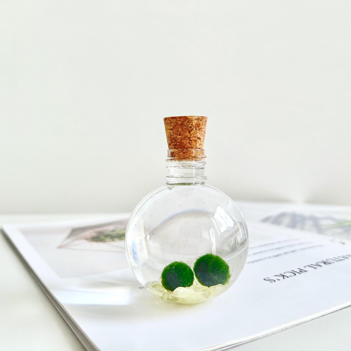 50ml Round Plastic Bottle with 2 Live Marimo Moss Balls | Choose from 5 Crystal Options