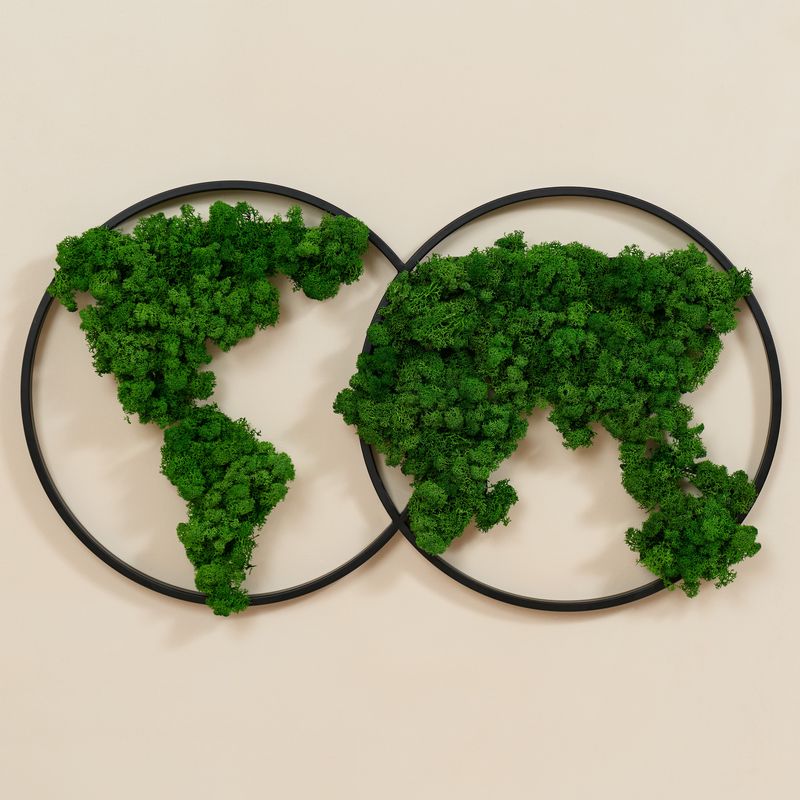 Commercial Space Wall Decor EcoVista: Earth's Serenity - Map Moss Art Iron Hanging Frame - Moss Artistry