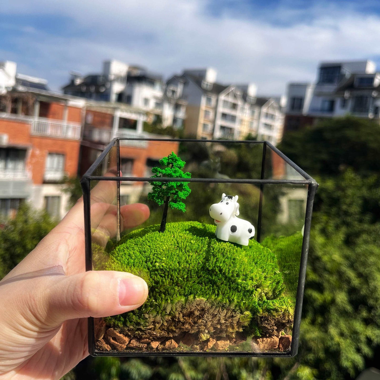 Handmade Glass Terrarium Mossbox Happy Chubby Cow Micro Landscape withElevate your workspace with the "Happy Chubby Cow" Handmade Glass Terrarium - a whimsical creation that captures the pastoral charm within a large square glass conta