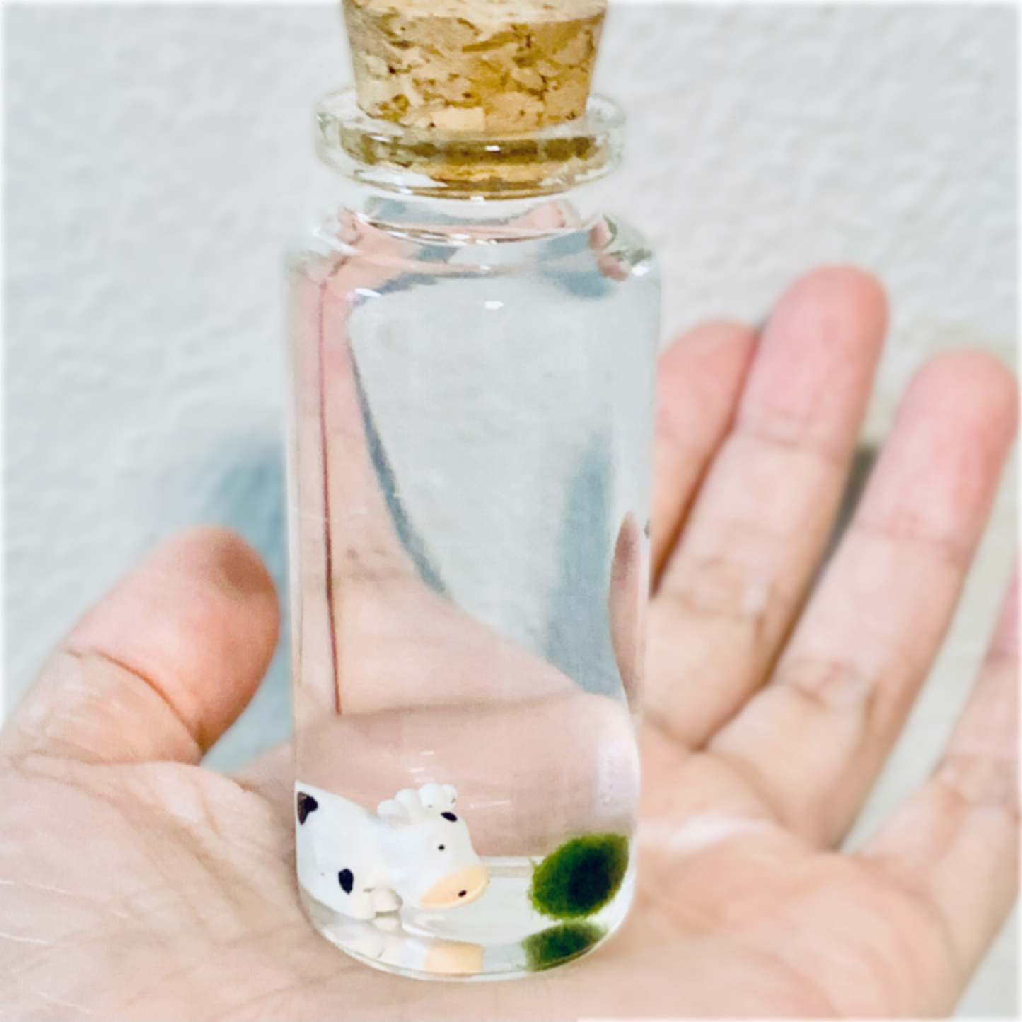 Underwater Farm Cow and Its Moss Ball Aqua Plant Pet