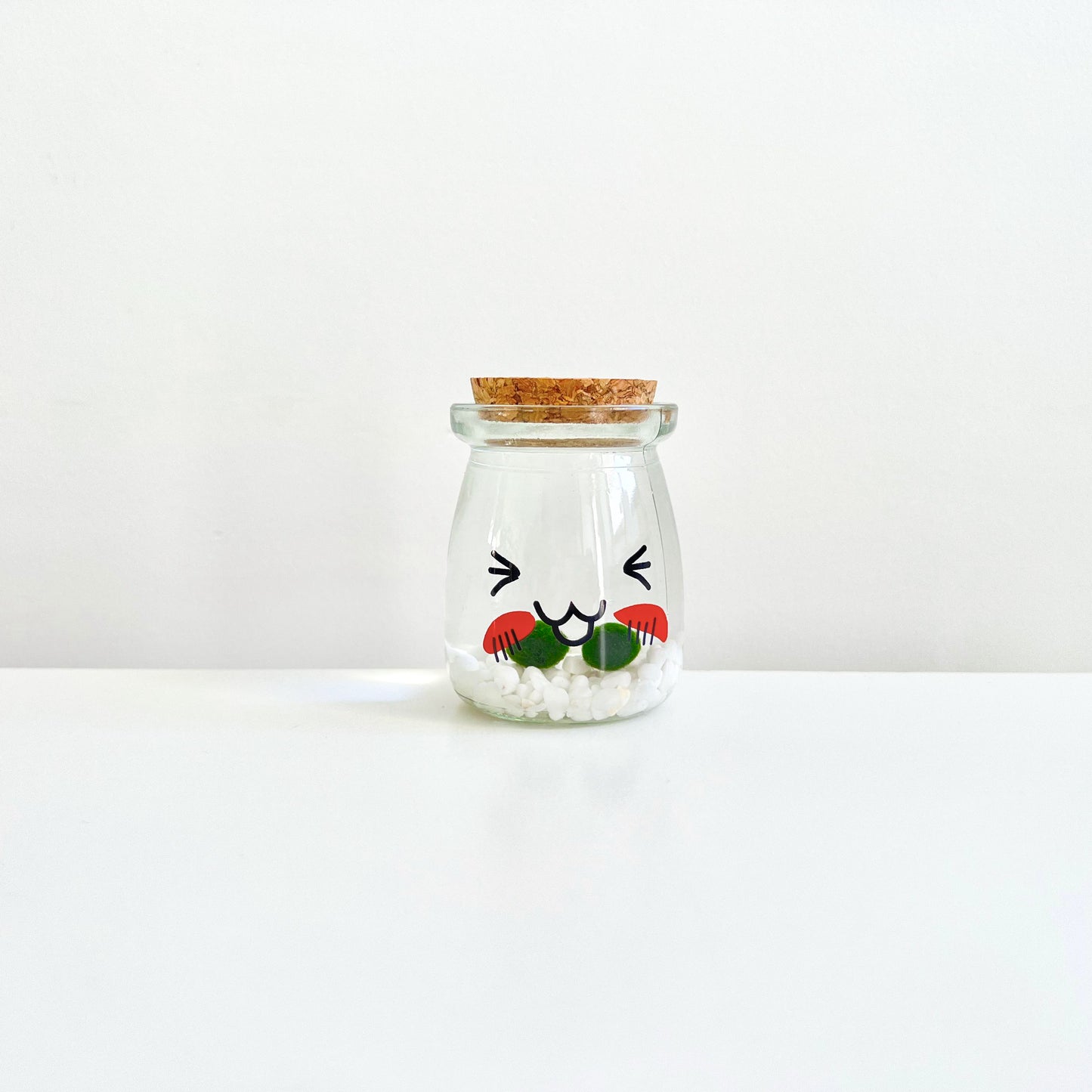 Cute Face Glass Jar with Cork, 2pcs Live Marimo Moss Balls, DIY Terrarium Gift