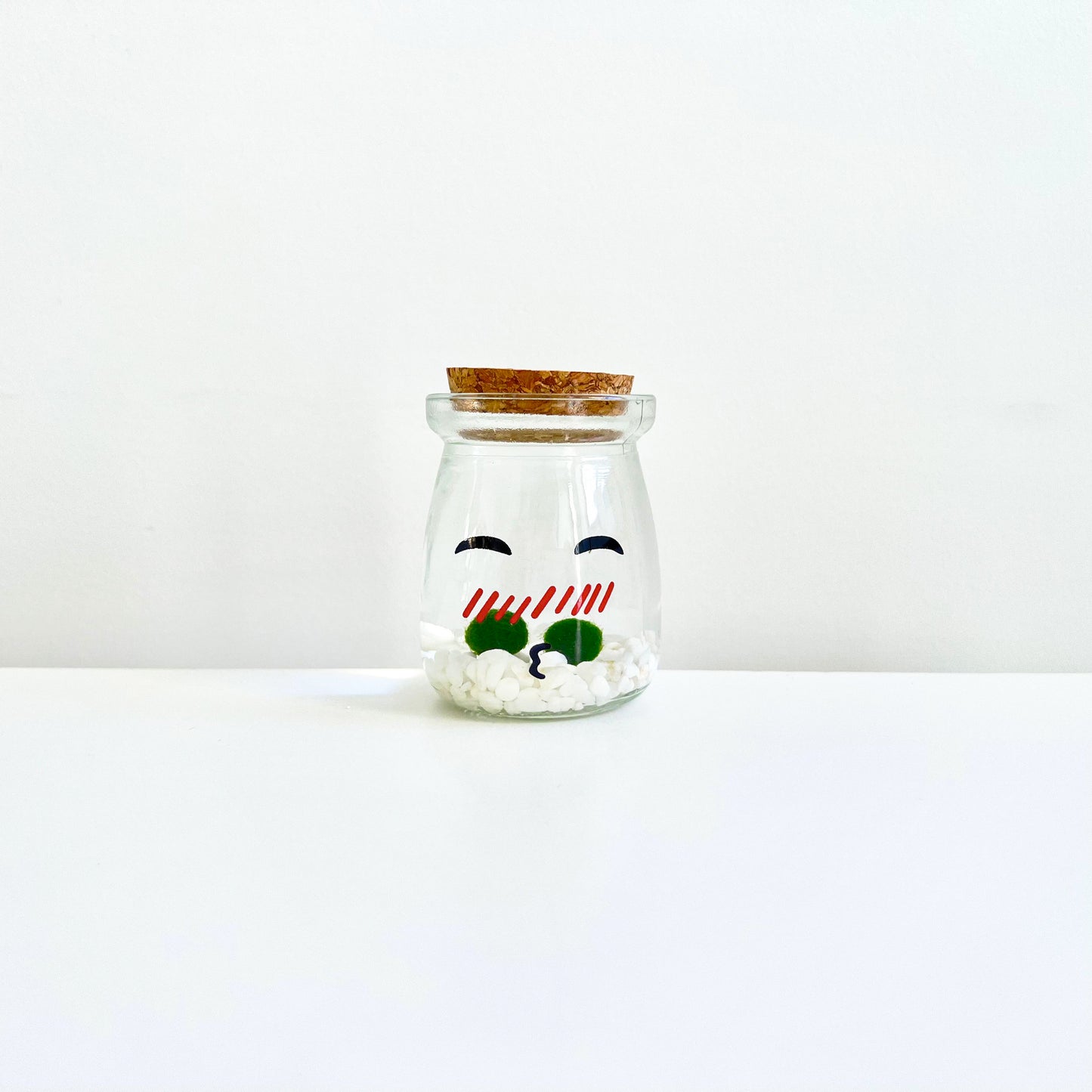 Cute Face Glass Jar with Cork, 2pcs Live Marimo Moss Balls, DIY Terrarium Gift