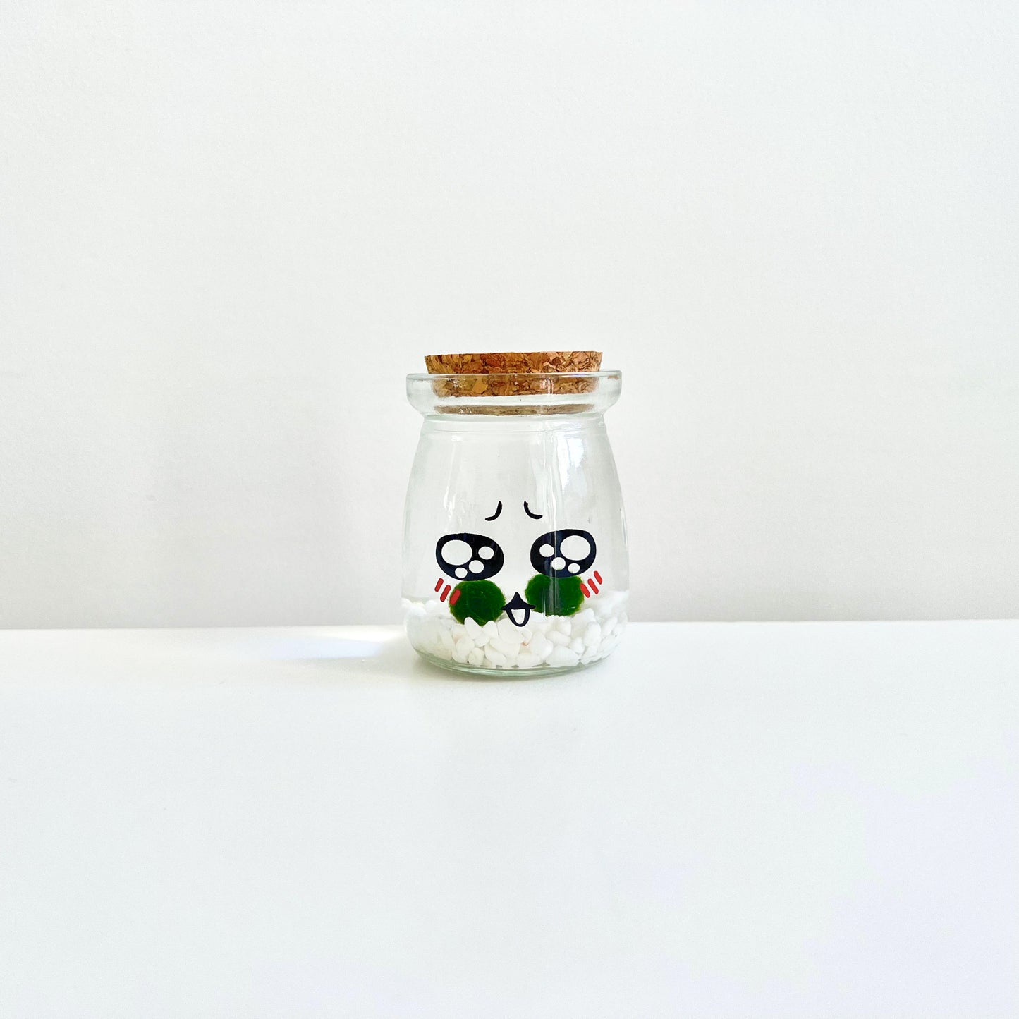 Cute Face Glass Jar with Cork, 2pcs Live Marimo Moss Balls, DIY Terrarium Gift
