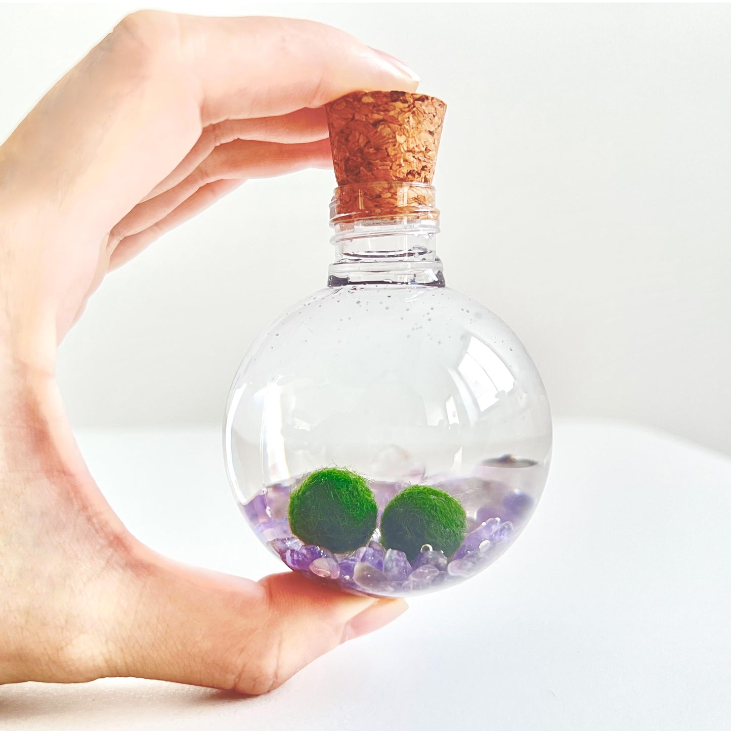 50ml Round Plastic Bottle with 2 Live Marimo Moss Balls | Choose from 5 Crystal Options