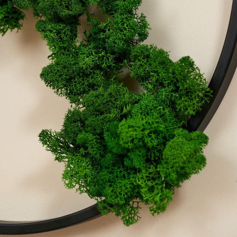 Commercial Space Wall Decor EcoVista: Earth's Serenity - Map Moss Art Iron Hanging Frame - Moss Artistry