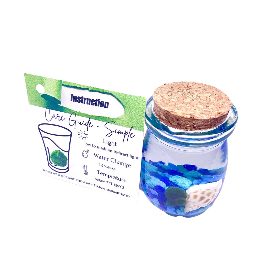 Marimo moss ball kit 3PCS designed as gift for single moms 60 days guarantee of free placement