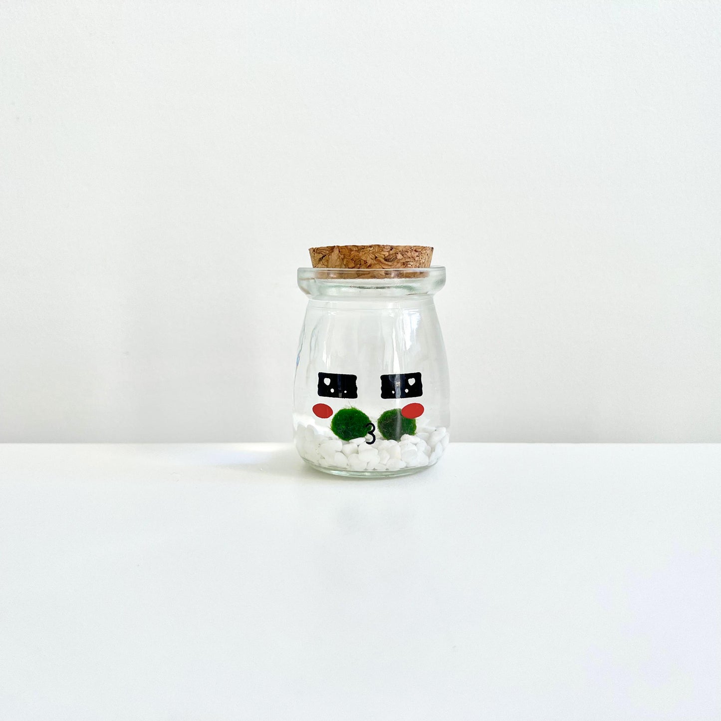 Cute Face Glass Jar with Cork, 2pcs Live Marimo Moss Balls, DIY Terrarium Gift