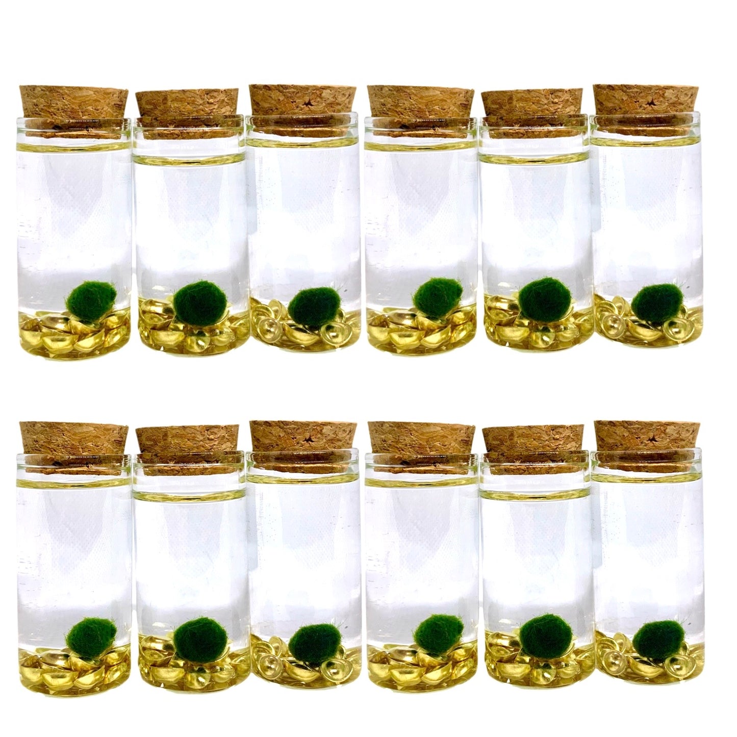 Fortune Moss Kit Office Desktop Decor