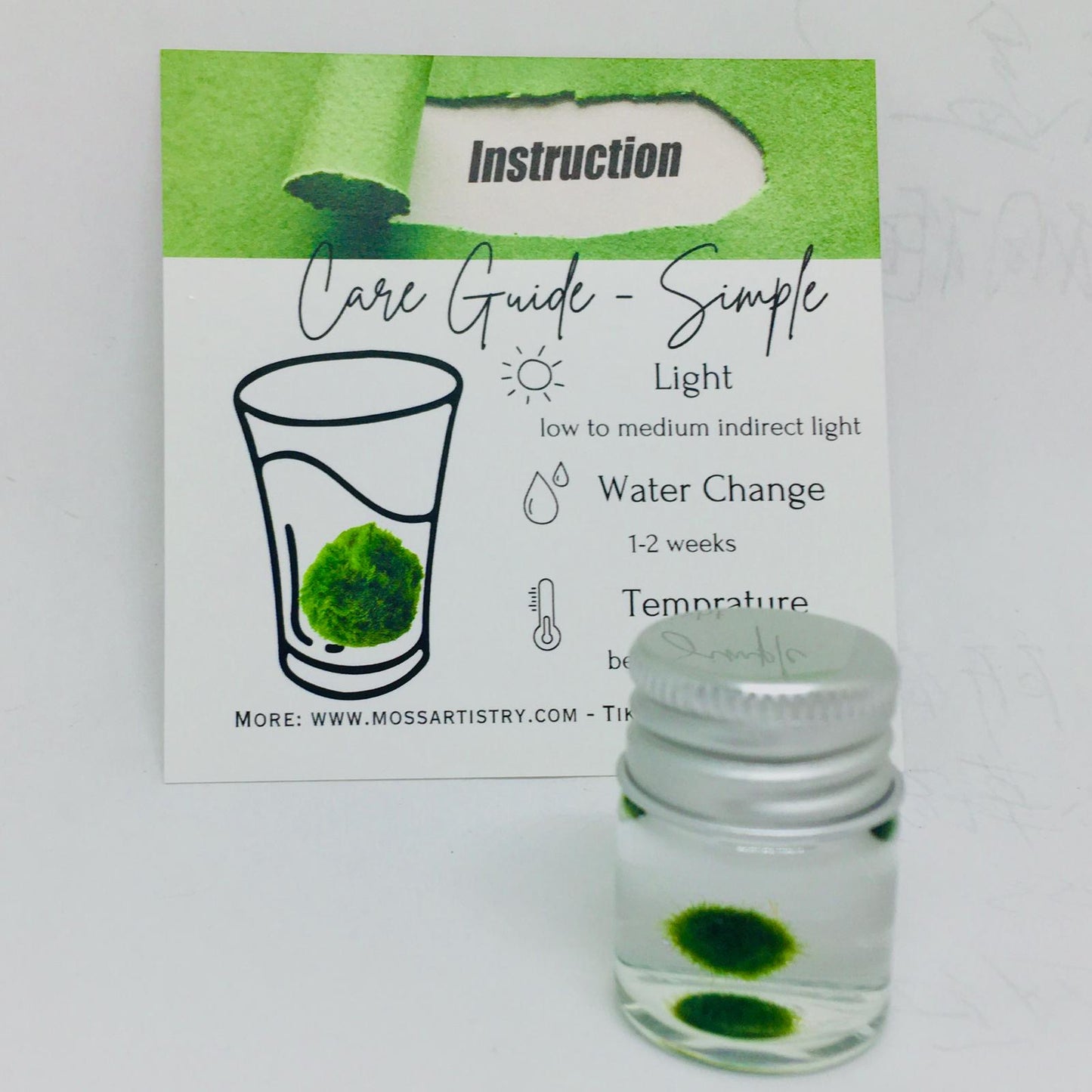 Gift for kids party bulk under $10/each: Marimo moss ball