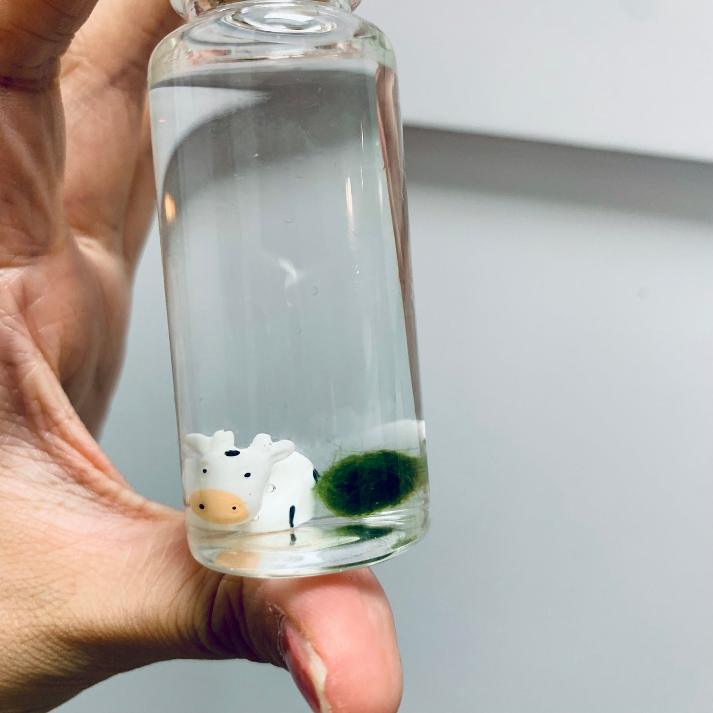 Underwater Farm Cow and Its Moss Ball Aqua Plant Pet