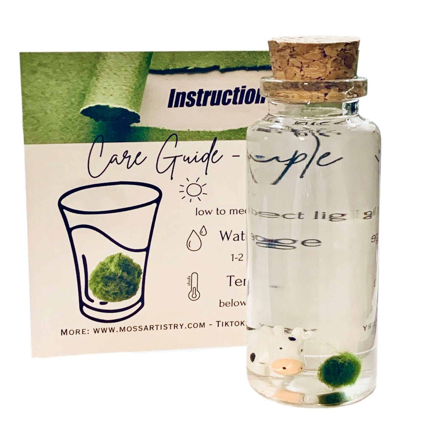 Underwater Farm Cow and Its Moss Ball Aqua Plant Pet