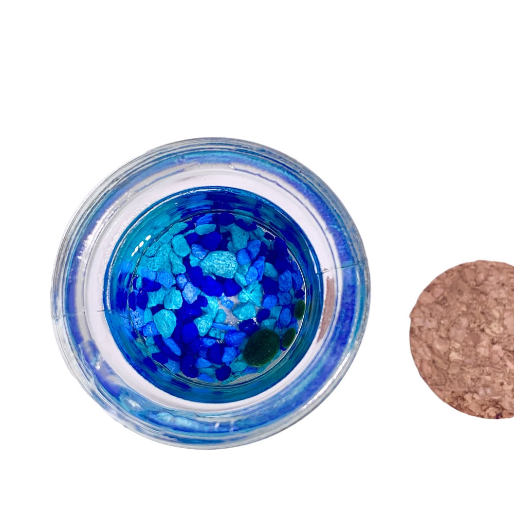 Marimo moss ball kit 3PCS designed as gift for single moms 60 days guarantee of free placement