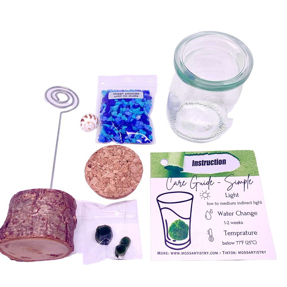 Marimo moss ball kit 3PCS designed as gift for single moms 60 days guarantee of free placement