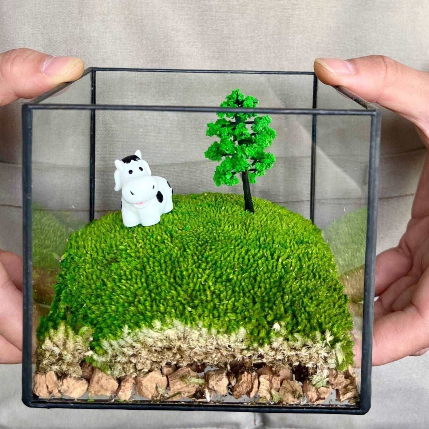 terrarium plants and animals Handmade Glass Terrarium Mossbox Happy Chubby Cow Micro Landscape with Unique Artisan Design