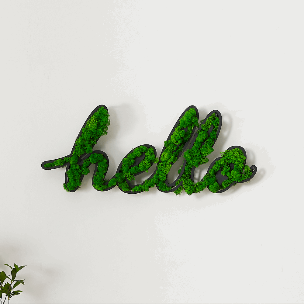 "HELLO" Letter Art Moss Wall Decor – A Natural Greeting