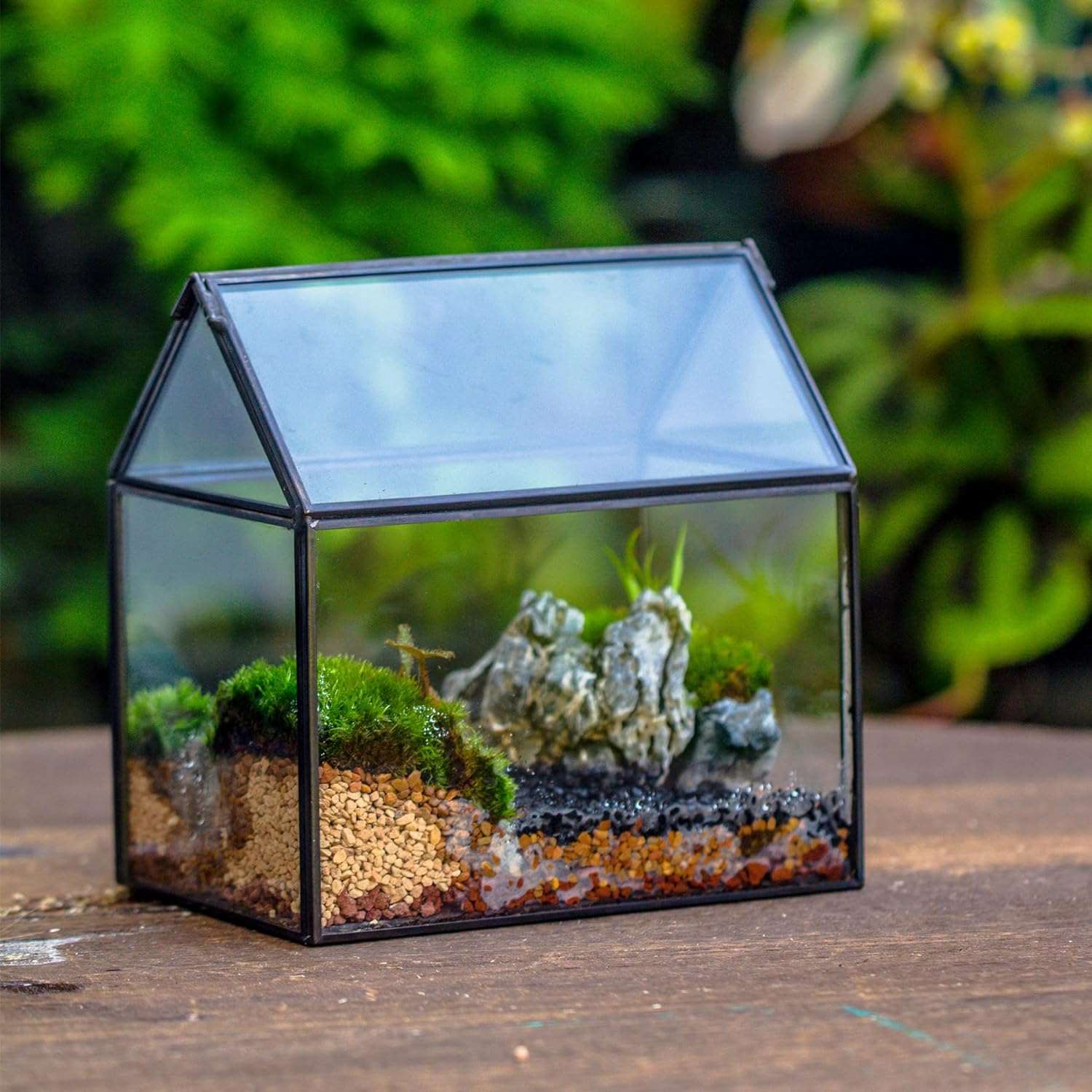 Small 6.1"x6.3"x4.33" Black House Shape Glass Terrarium with Swing Lid
Material
Glass
Special Feature
with lid
Item Weight
1.68 Pounds
Shape
house shape
Specific Uses For Product
Indoor
Style
geometric
Color
Black
Hou