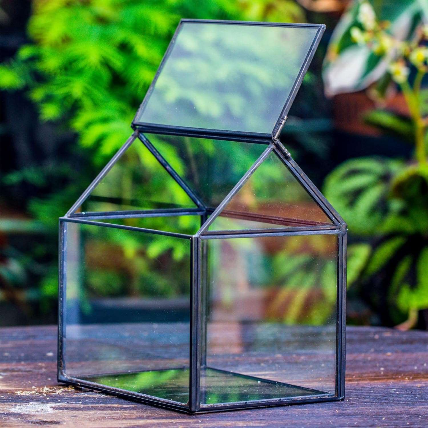 Small 6.1"x6.3"x4.33" Black House Shape Glass Terrarium with Swing Lid
Material
Glass
Special Feature
with lid
Item Weight
1.68 Pounds
Shape
house shape
Specific Uses For Product
Indoor
Style
geometric
Color
Black
Hou