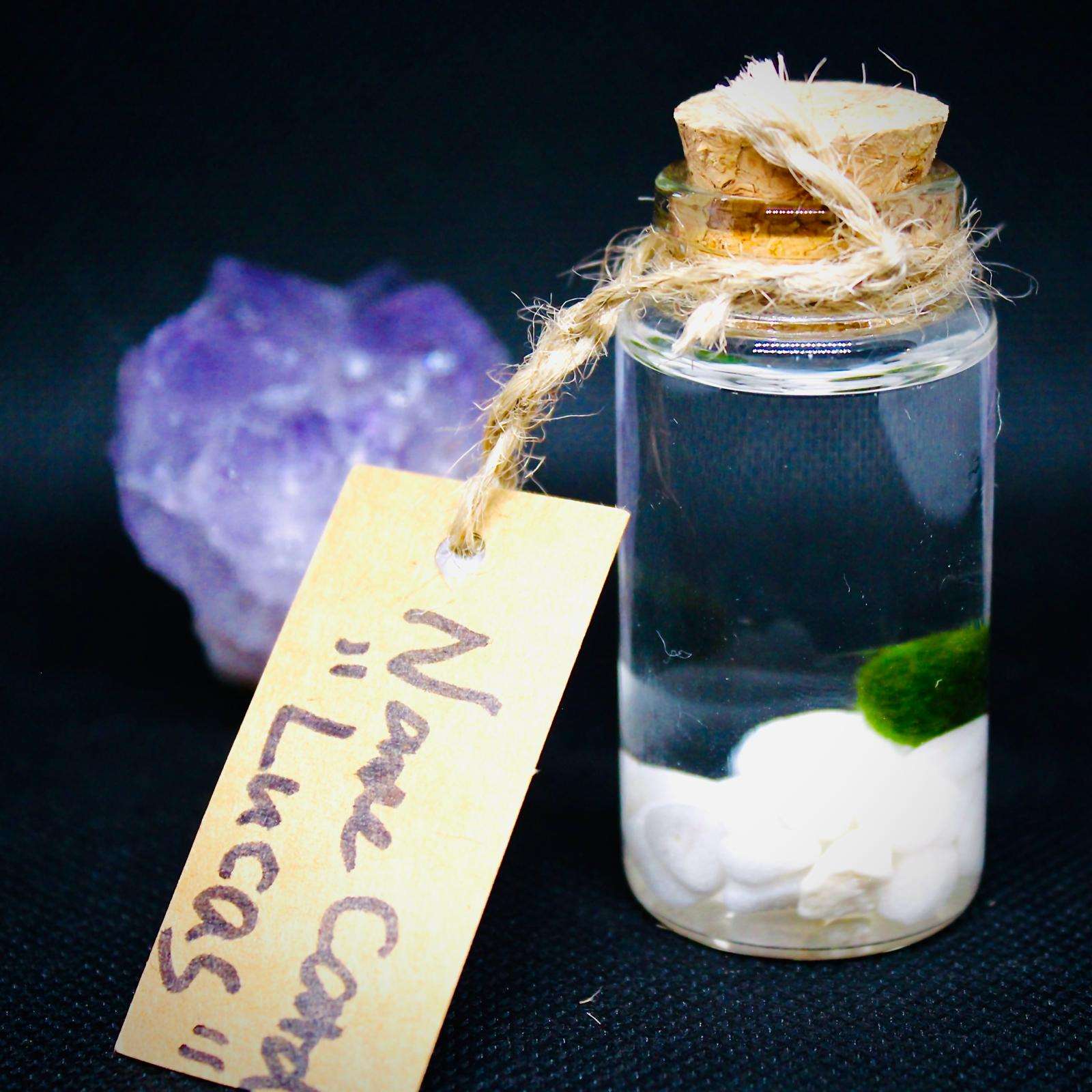 Live Mini Marimo Moss Ball White and Black Pebbles Glass Bottle Glass Specification:
0.8-1.5cm Marimo Live Moss Ball * 1
(Optional: adding more marimo...)
White/Black Pebbles Bag *1
String *1
Name Card *1
Tweezer *1
Simple Care Instruc