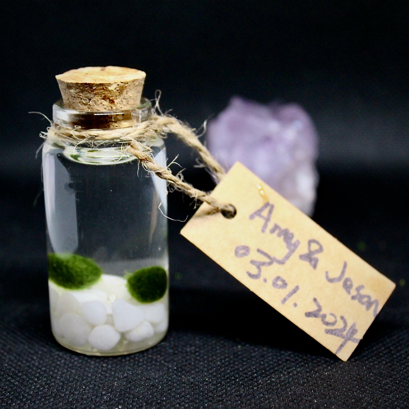 Live Mini Marimo Moss Ball White and Black Pebbles Glass Bottle Glass Specification:
0.8-1.5cm Marimo Live Moss Ball * 1
(Optional: adding more marimo...)
White/Black Pebbles Bag *1
String *1
Name Card *1
Tweezer *1
Simple Care Instruc